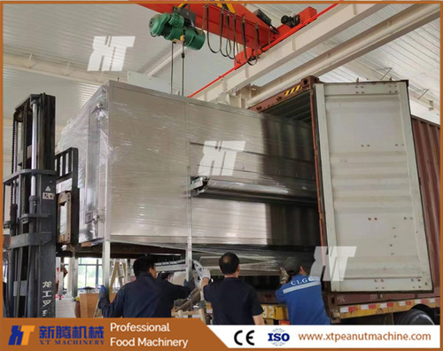 Ultime soluzioni aziendali su Impianto di trasformazione di arachidi sbiancate 1000 kg/h spediti in Egitto