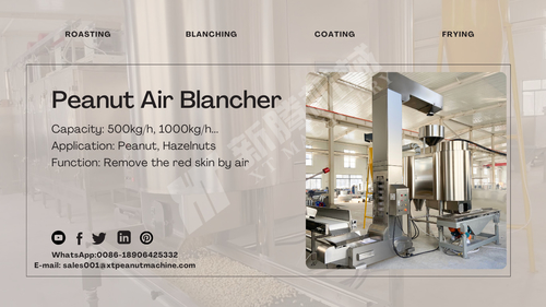 Latest company news about La macchina per il blanchiment dell'aria delle arachidi --una nuova scelta per l'industria del blanchiment delle arachidi