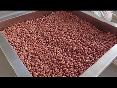 Controllo PLC Noci continue Forno Noci continue torrefazione asciugatrice/rosticatrice