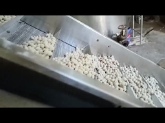 Macchina di frittura continua