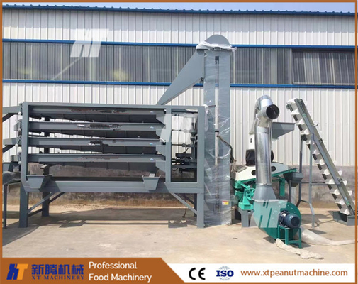 Un buon prezzo. XT Machinery Selezionatrice per anacardi Macchina per la classificazione dell'aglio Mungfali in linea