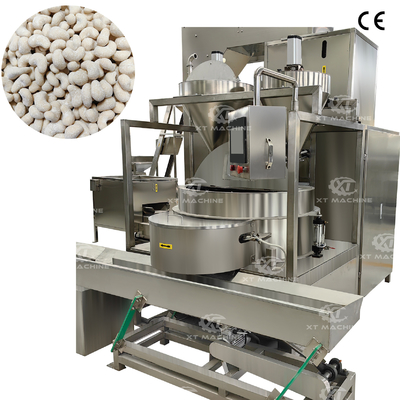 Un buon prezzo. 250-300 kg/h Macchina automatica di rivestimento di arachidi Macchina di rivestimento di nocciolini in linea