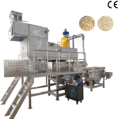 Un buon prezzo. Macchina per la produzione di arachidi tritate da 4 mm per taglio e classificazione in linea