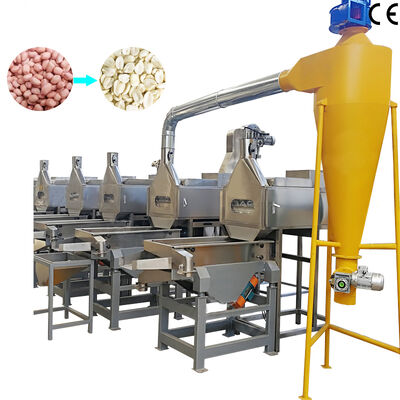 Un buon prezzo. 500-1000kg/h Peanut Cutting and Blanching Machine Split Nut Blanching Machine With CE Certification in linea