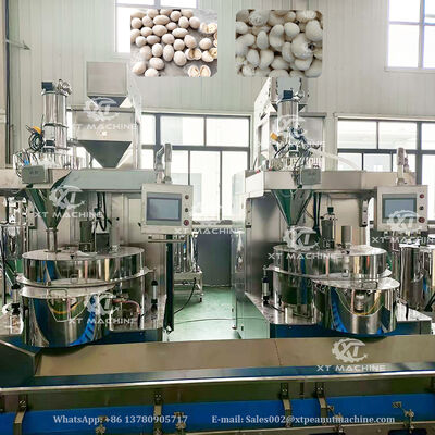 Un buon prezzo. Linea di produzione di rivestimento e frittura di arachidi SUS304 completamente automatica con 500-1000 kg/h per impianti di trasformazione di noci in linea