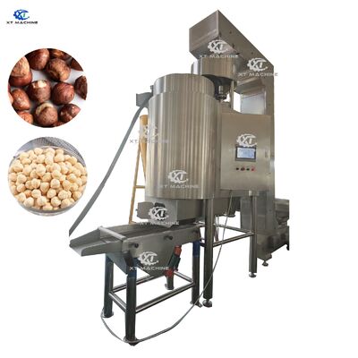 Un buon prezzo. 500-600 kg/h Macchina per il blanchimento di arachidi/pistacchi/afine ad alta produzione con controllo PLC e materiale SUS304 in linea