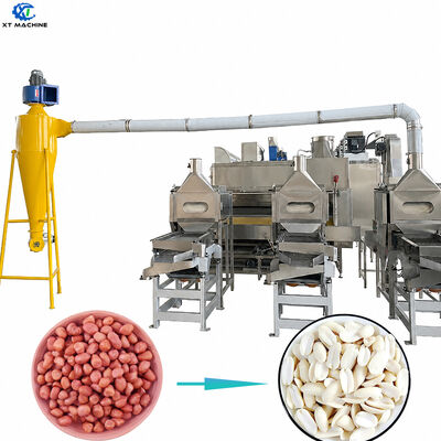 Un buon prezzo. Alta qualità 1000 kg/h-2000 kg/h SUS304 Macchina per tagliare e sbiancare le arachidi per le attrezzature di lavorazione delle noci in linea